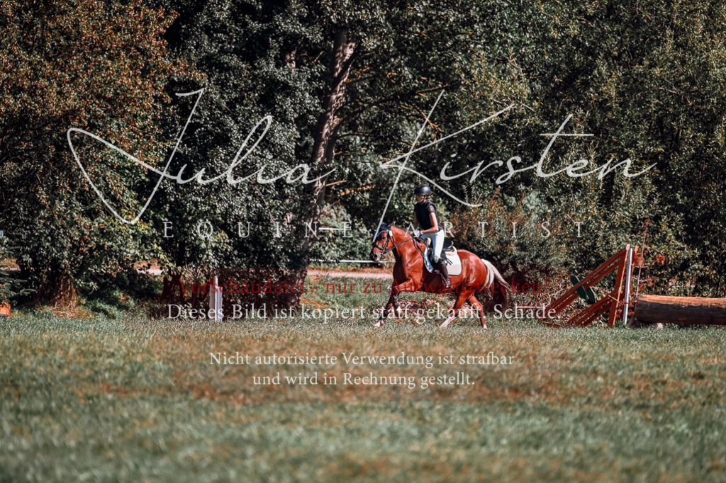 DSC_0942 | Pferde- und Turnierfotografie in Westsachsen. Pferdeportraits, Auftragszeichnungen und intuitive Kunst.