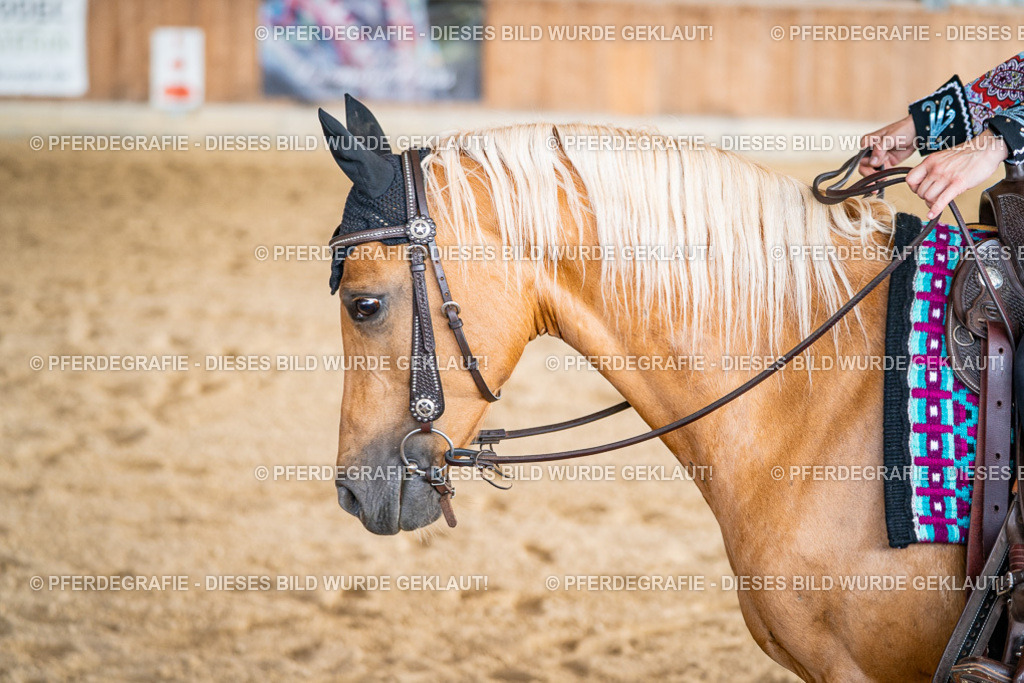 DSC08950 | Pferdegrafie