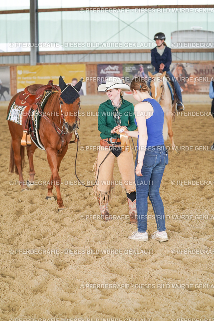 DSC05079 | Pferdegrafie