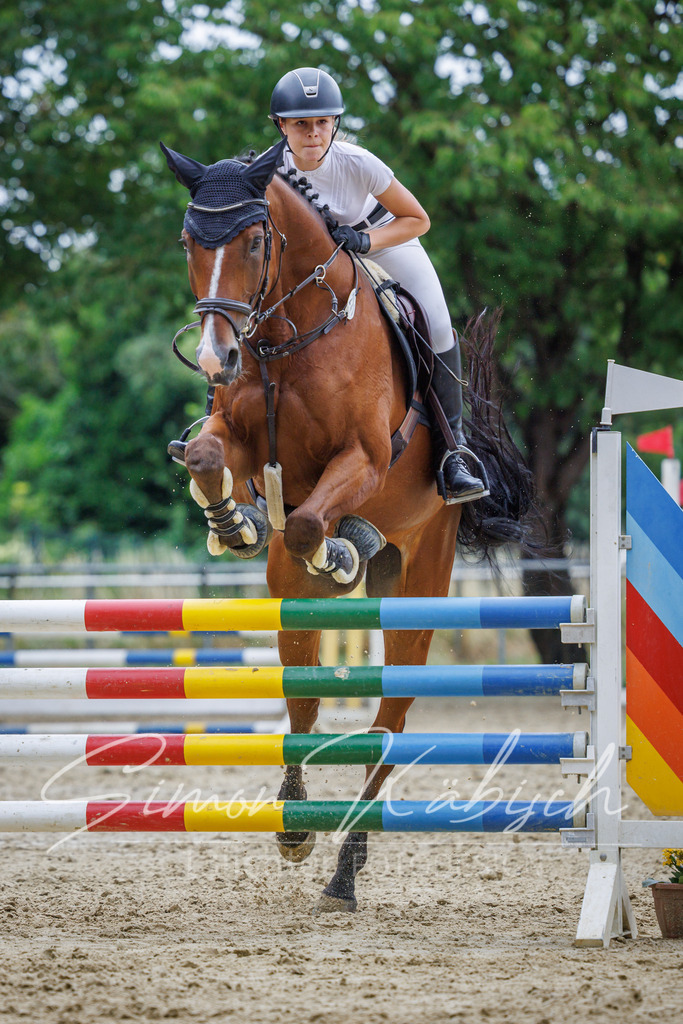 20260705-_3LI6191 | Tierfotografie Pferde, Hunde, Katzen, Haustiere.
Turnierfotografie Reitturniere, Reiten, Springreiten, Dressur in Hanau, dem Main-Kinzig-Kreis und dem Rhein-Main- Gebiet um Frankfurt