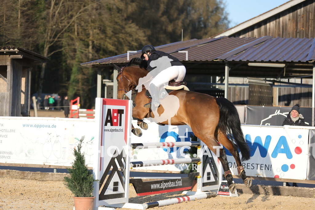 0P6A8968 | Willkommen bei Brunnmayr - Design & Fotografie – Ihrem Spezialisten für Reitturniere und Pferdeveranstaltungen in Oberösterreich, Salzburg und Bayern! Seit über 17 Jahren sind wir leidenschaftlich dabei.