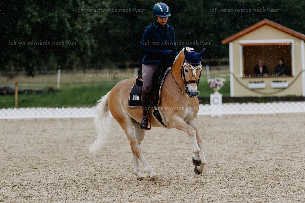 Tanesha5FHC2025-8641 | working equitationturnier fotograf videograf stoibphotography marixx film working equitation deutschland reitsport turnierfotografie eventfotografie equestrian events