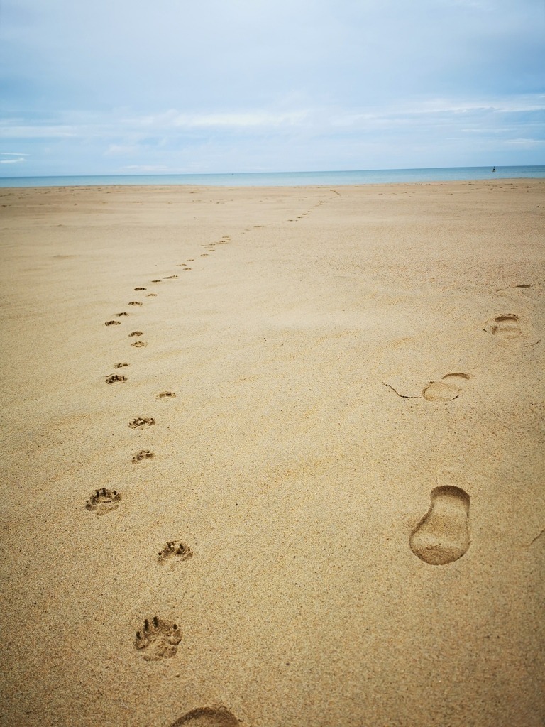 IMG_20240222_094246 | Pandiboo - Realisiert mit Pictrs.com