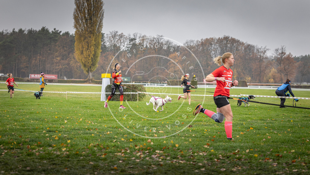 CaniXpix_DV3A8873 | Hundefotografie, Tierfotograf, Pfotenfotografie, Fotoshooting Hund, Hunde Portrait, Hundesport, Hundeportraits, Heideshooting, Hunde, Sportfotograf, Hundefotograf, Turnierhundsport, THS,  - Realisiert mit Pictrs.com