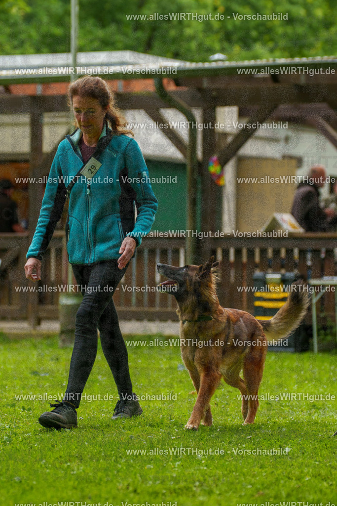 @allesWIRTHgut_Tierfotografie - www.allesWIRTHgut.de - 102205-7R508411 | Professionelle Tierfotografie in Mönchengladbach von Daniel Wirth (allesWIRTHgut). Liebevolle & natürliche Bilder von Hunden & Katzen für unvergessliche Erinnerungen.