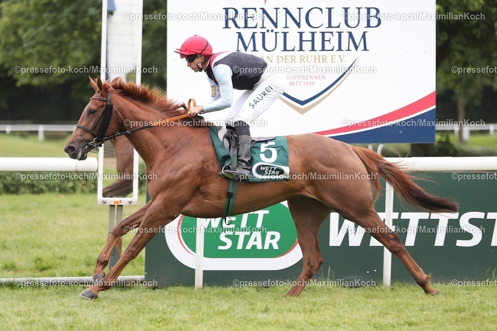 MH24052501001 | Lili Marleen siegt unter Thore Hammer-Hansen am 24.05.2025 Renntag in Mülheim an der Ruhr. Copyright by Marc Ruehl - Veroeffentlichung nur gegen Honorar (zzgl.MwSt), Namensnennung und Beleg, Bank Routing Number: BIC GENODED1PAF, Bank Account Number: IBAN DE04 3706 2600 1201 6180 17, Steuer-Nr.: 203/5266/0306, Ust_Id_Nr.: De 122081417, Zur Gaulshuette 29, 50181 Bedburg, Phone: +49-(0)2272-83351, www.marcruehl.com, info@marcruehl.com, No Model Release, Abtretung von Persoenlichkeitsrechten der abgebildeten Person/Personen liegen nicht vor. Speichern in Bilddatenbanken oder Vervielfaeltigung ist ohne schriftliche Genehmigung nicht gestattet.