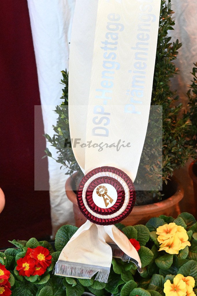 Impressionen Auktion_2243674 | hf-fotografie - Realisiert mit Pictrs.com