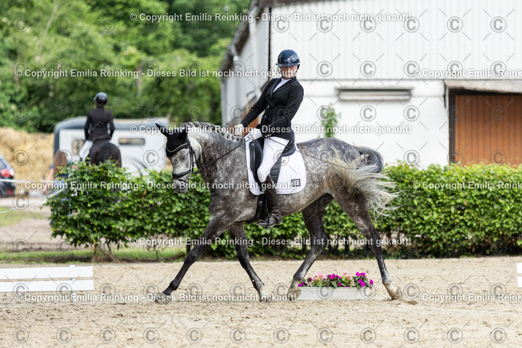 CL5A5556-2 | Emilia Reinking Fotografie - Realisiert mit Pictrs.com