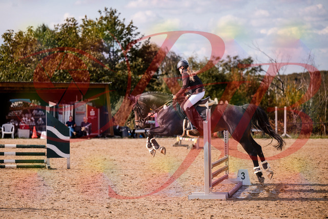 2026_10_03_Siefer-Hof_154310_Z81_61000166 | Professionelle Reitsport-, Turnier- und Eventfotografie von Robert Broda. Galerien mit ausgewählten und bearbeiteten Bildern direkt online ansehen und bestellen.