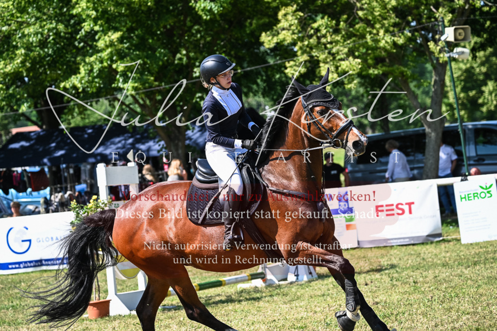 DSC_1527 | Pferde- und Turnierfotografie in Westsachsen. Pferdeportraits, Auftragszeichnungen und intuitive Kunst.