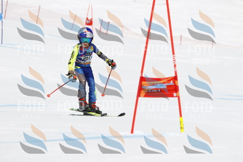 _U3G6457 | holidayphoto