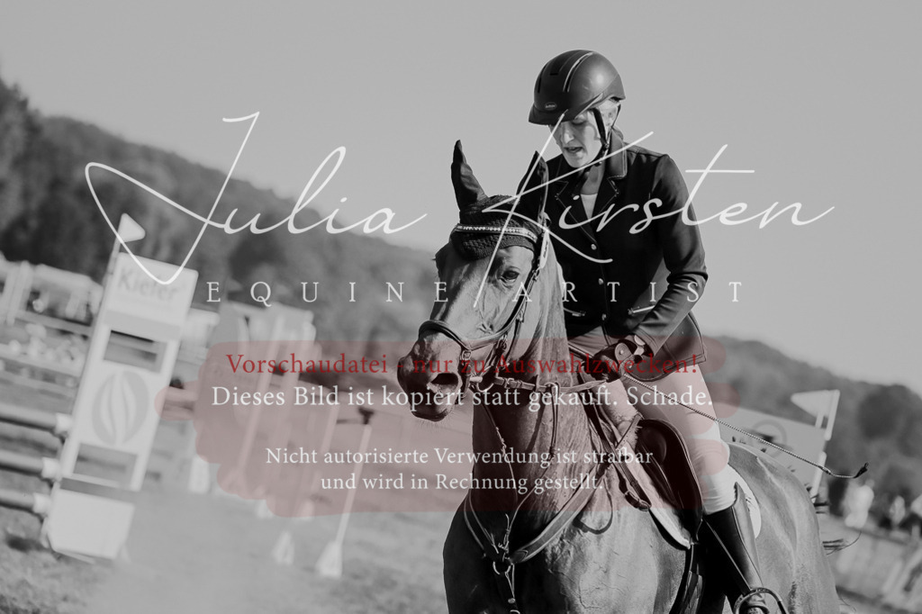 DSC_9393 | Pferde- und Turnierfotografie in Westsachsen. Pferdeportraits, Auftragszeichnungen und intuitive Kunst.