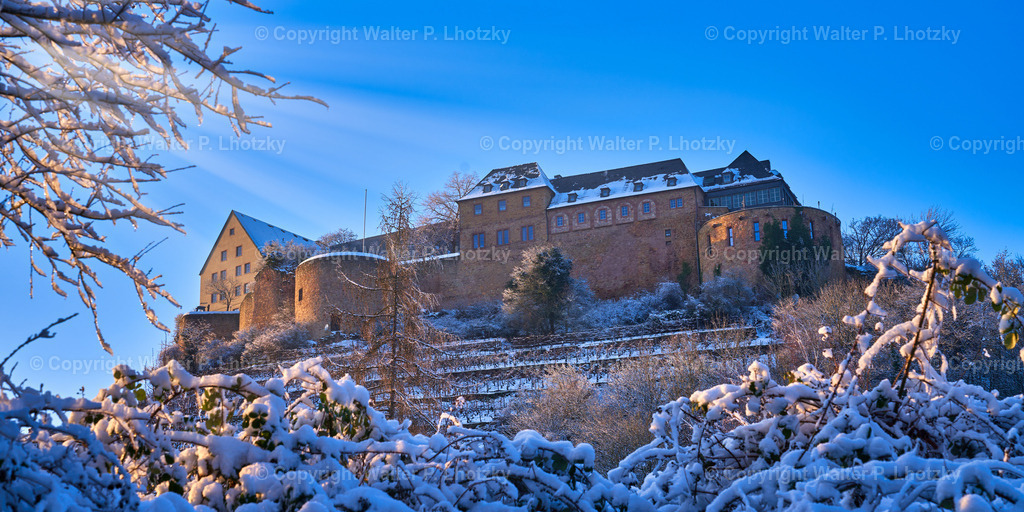 LHO04435 | wlstudio - Realisiert mit Pictrs.com