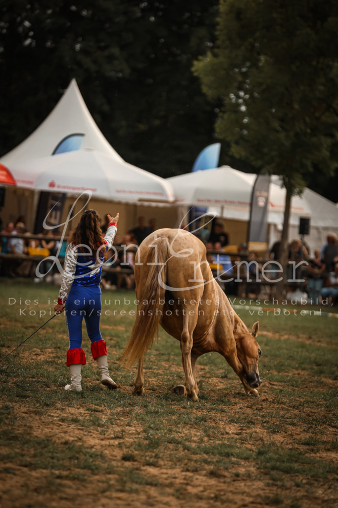 SaShow00033 | Leoni Ertmer Photography - Realisiert mit Pictrs.com