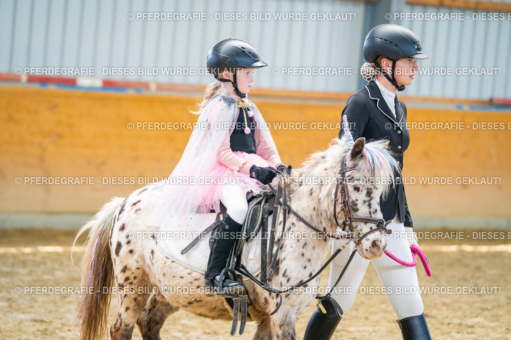 DSC00399 | Pferdegrafie