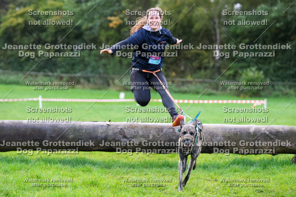 Dog Paparazzi -  SD1026-994 | Dog Paparazzi Jeanette Grottendiek Fotografie & Videografie - Realisiert mit Pictrs.com