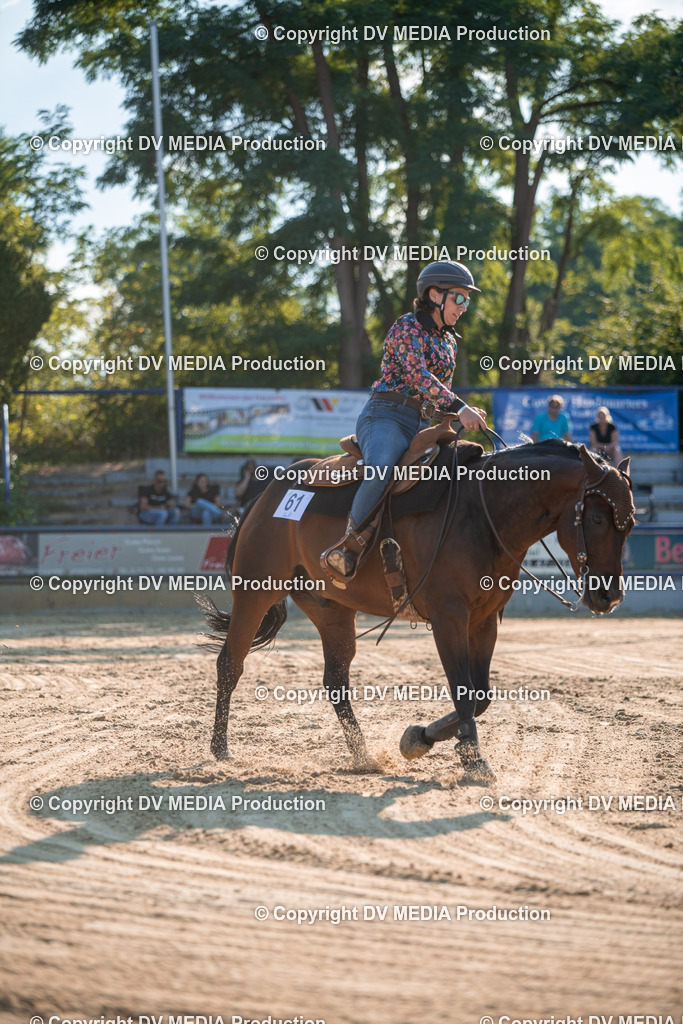 ZS2_8971 | dv-media-shop - Realisiert mit Pictrs.com