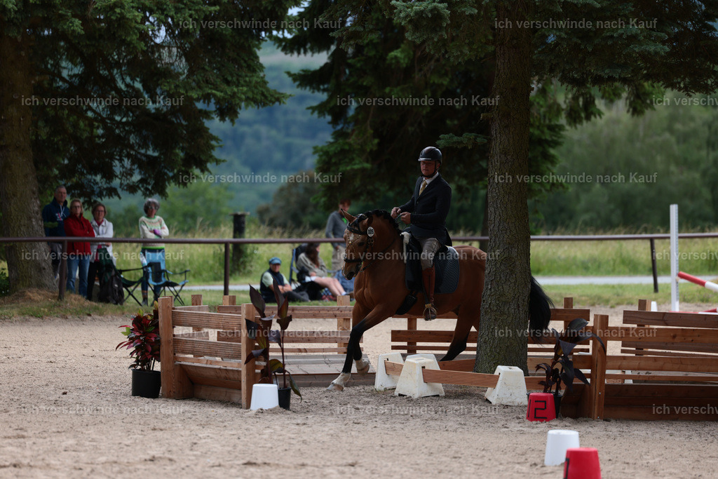Masterclass_stoibphotography_C2_L6611.JPG | working equitationturnier fotograf videograf stoibphotography marixx film working equitation deutschland reitsport turnierfotografie eventfotografie equestrian events