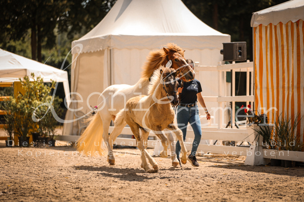 02.DoSR00223 | Leoni Ertmer Photography - Realisiert mit Pictrs.com