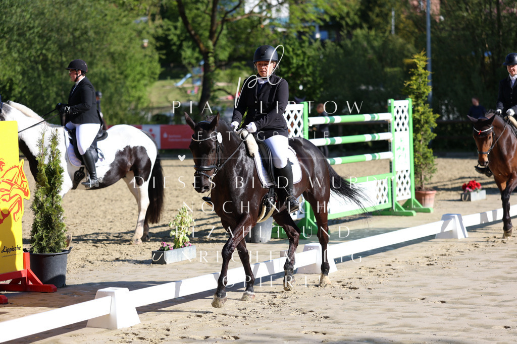 IMGT2644 | pl-fotografie