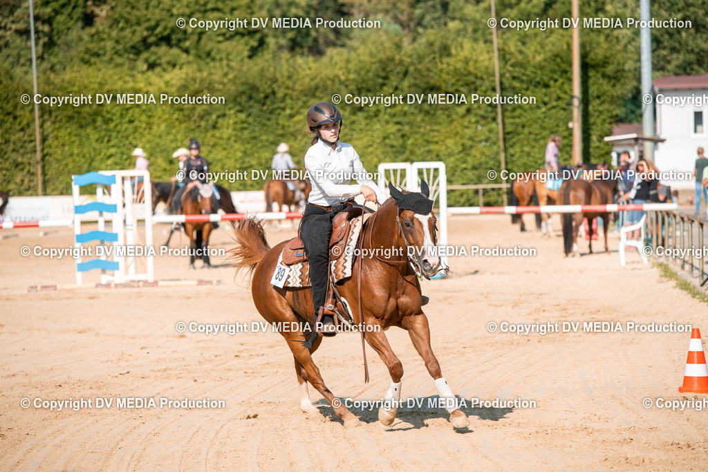 ZS2_8834 | dv-media-shop - Realisiert mit Pictrs.com