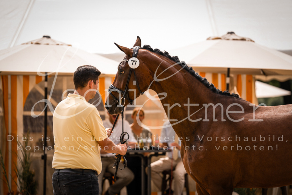 4.Fr00018 | Leoni Ertmer Photography - Realisiert mit Pictrs.com