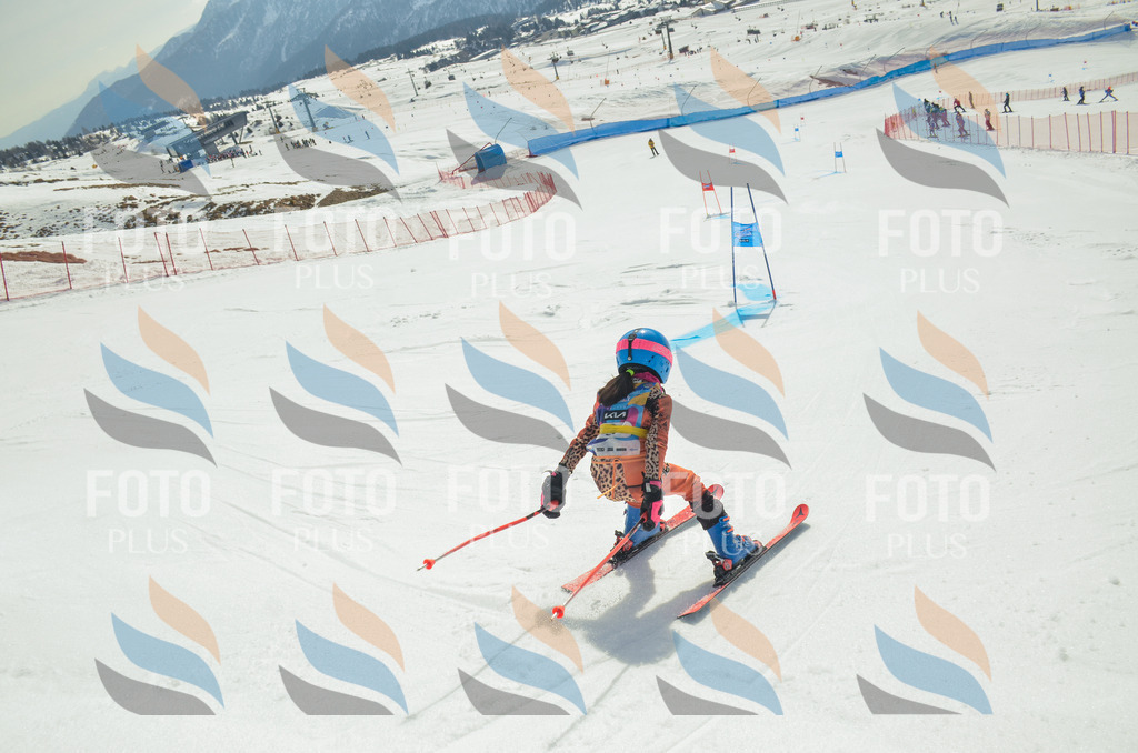 _ELE4380 | holidayphoto