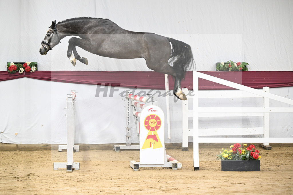 Kat-Nr. 72 Chacoon Blue x Contagio_Matthias Schlamminger GmbH_47252954 | hf-fotografie - Realisiert mit Pictrs.com