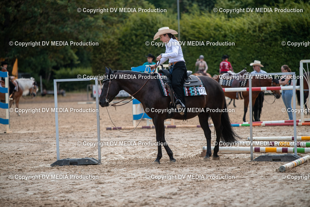 ZS3_9207 | dv-media-shop - Realisiert mit Pictrs.com