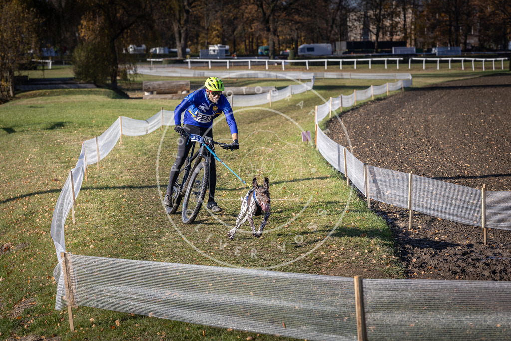 CaniXpix_DV3A3541 | Hundefotografie, Tierfotograf, Pfotenfotografie, Fotoshooting Hund, Hunde Portrait, Hundesport, Hundeportraits, Heideshooting, Hunde, Sportfotograf, Hundefotograf, Turnierhundsport, THS,  - Realisiert mit Pictrs.com
