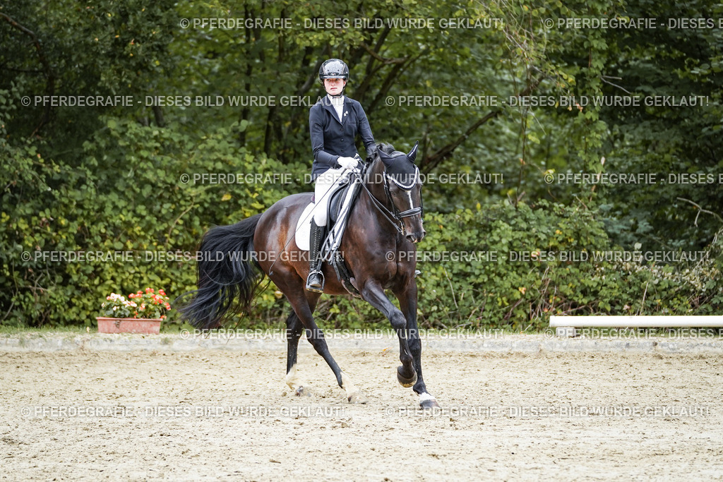 DSC01323 | Pferdegrafie