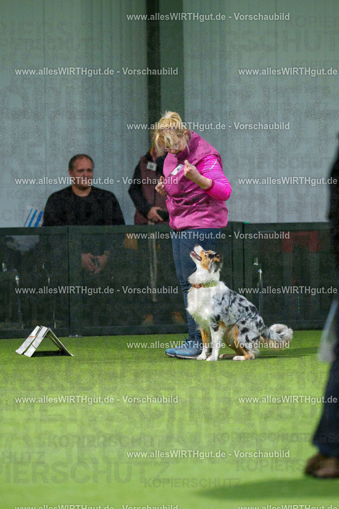 7R504091 | Professionelle Tierfotografie in Mönchengladbach von Daniel Wirth (allesWIRTHgut). Liebevolle & natürliche Bilder von Hunden & Katzen für unvergessliche Erinnerungen.