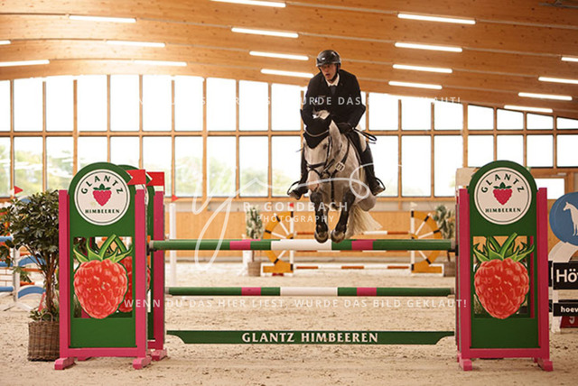 1J2A4948Martin Wißenbach_ Carlandra Blue_ Kn070_ Glantz_ Hohen Wieschendorf | Foto- und Videografie für alles rund ums Pferd. Hochwertige Bilder und Videos vom Spring- und Dressurreiten, Voltigieren & mehr. Jetzt aktuelle Veranstaltungen und Preise im Shop ansehen. - Realisiert mit Pictrs.com