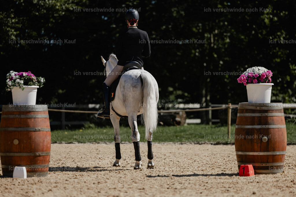 Virginie12FHC2025-27259 | working equitationturnier fotograf videograf stoibphotography marixx film working equitation deutschland reitsport turnierfotografie eventfotografie equestrian events