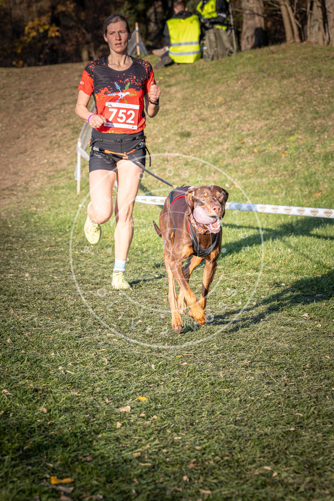 CaniXpix_0L8A9906 | Hundefotografie, Tierfotograf, Pfotenfotografie, Fotoshooting Hund, Hunde Portrait, Hundesport, Hundeportraits, Heideshooting, Hunde, Sportfotograf, Hundefotograf, Turnierhundsport, THS,  - Realisiert mit Pictrs.com