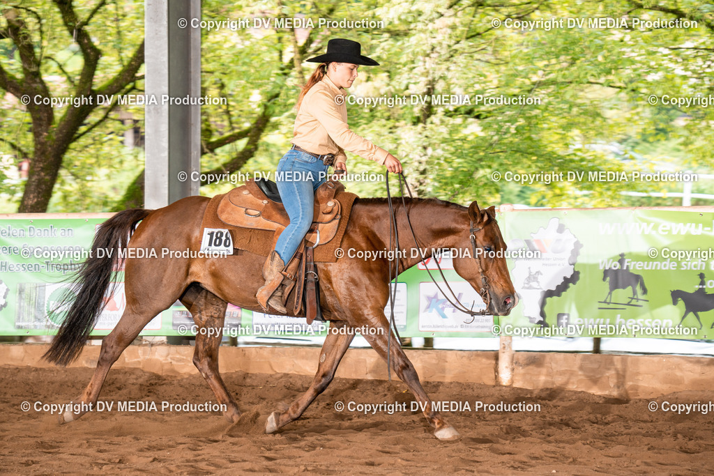 Erbach Tag 4-707 | dv-media-shop - Realisiert mit Pictrs.com