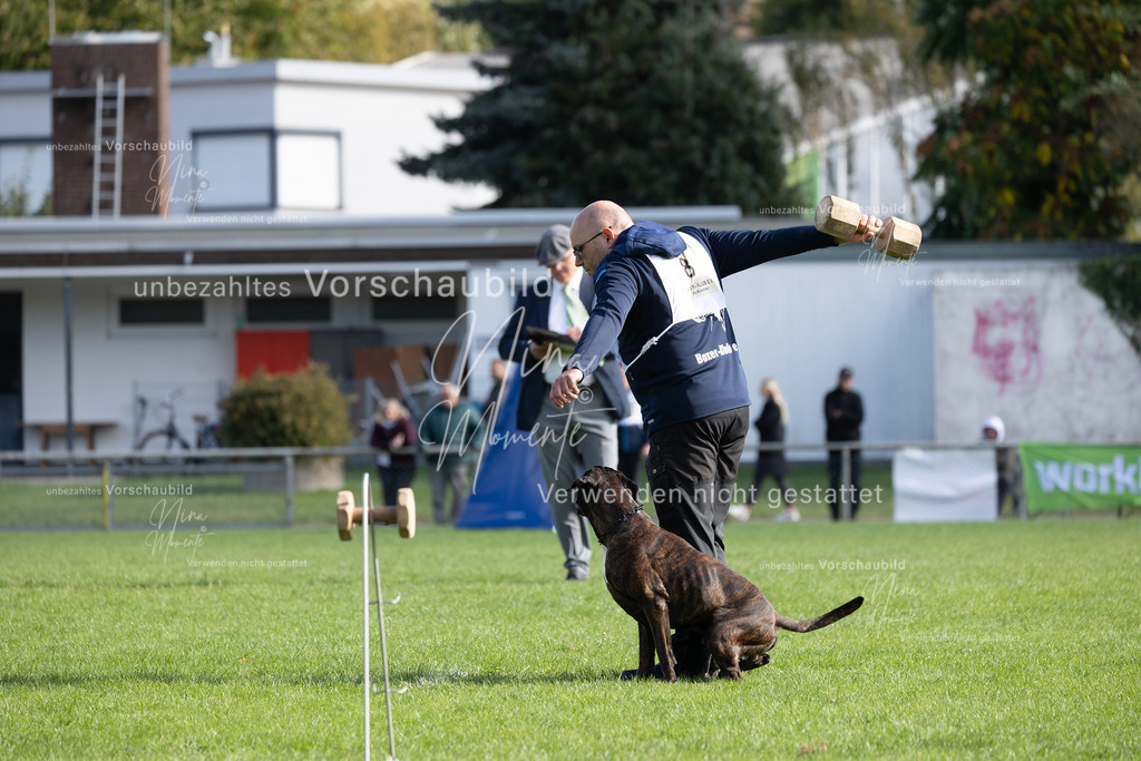 _16A6810 | Einzigartige Fotos von Hunden & Menschen –Actionfotos, Portraits, Vereinsaufnahmen & Paarshootings – authentisch, lebendig & mit Herz.