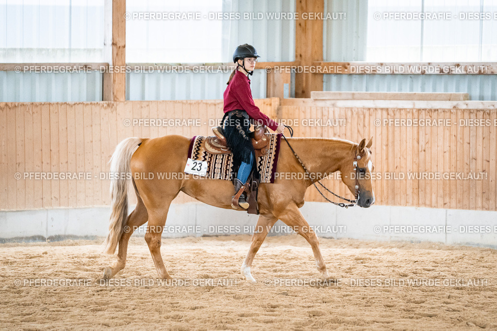 DSC01238 | Pferdegrafie