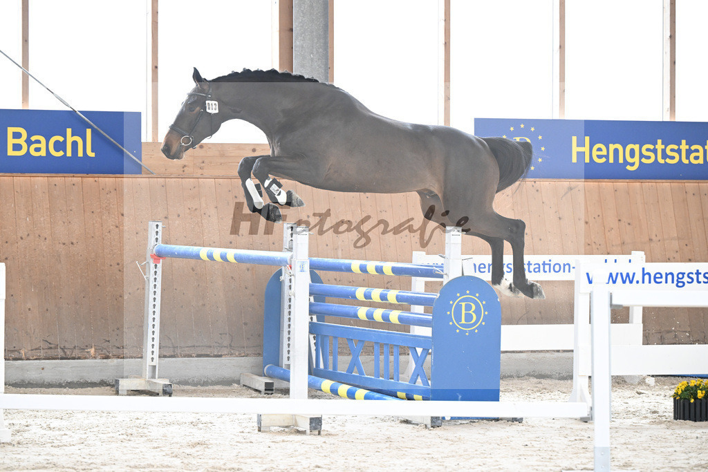 Kat-Nr. 13 Courchevel B v. Cizero Z_Bachl_5251345 | hf-fotografie - Realisiert mit Pictrs.com