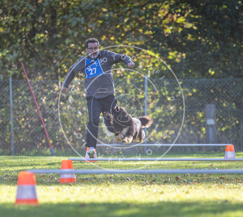 Pfotenfotografie.de_DV3A3098 | Hundefotografie, Tierfotograf, Pfotenfotografie, Fotoshooting Hund, Hunde Portrait, Hundesport, Hundeportraits, Heideshooting, Hunde, Sportfotograf, Hundefotograf, Turnierhundsport, THS, canicross - Realisiert mit Pictrs.com