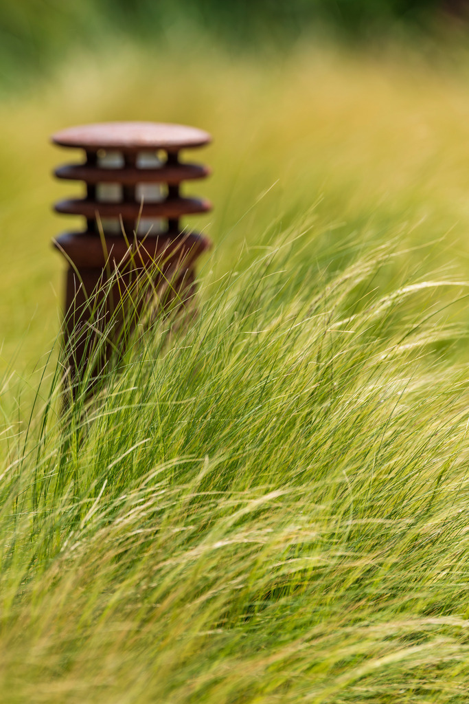 2025_05_24_BUESUM_MCP8376 | Hochwertig gedruckte Fotografien für die Wand, als Kalender und zum Verschenken. Hamburg & Norddeutschland und überall wo ich mit der Kamera unterwegs war.