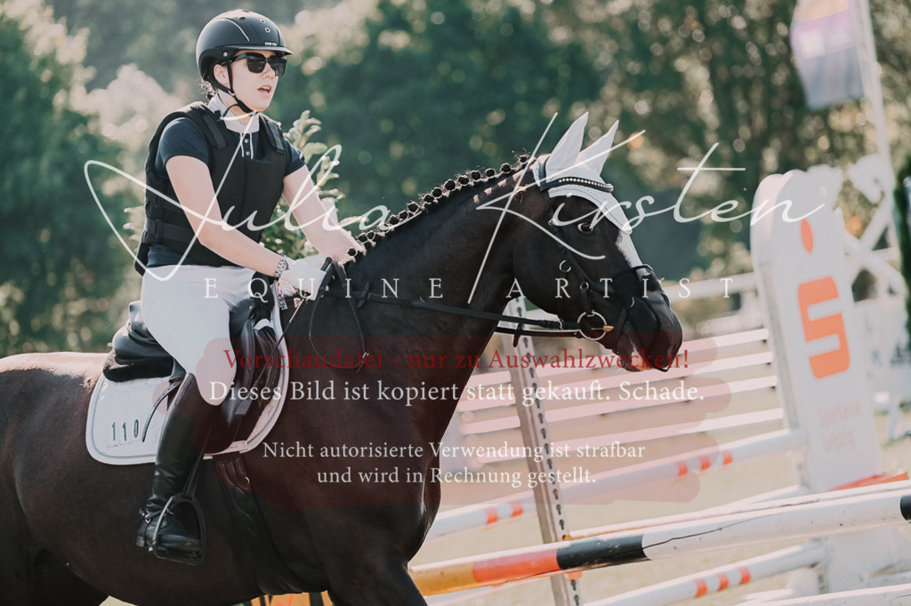 DSC_4838 | Pferde- und Turnierfotografie in Westsachsen. Pferdeportraits, Auftragszeichnungen und intuitive Kunst.