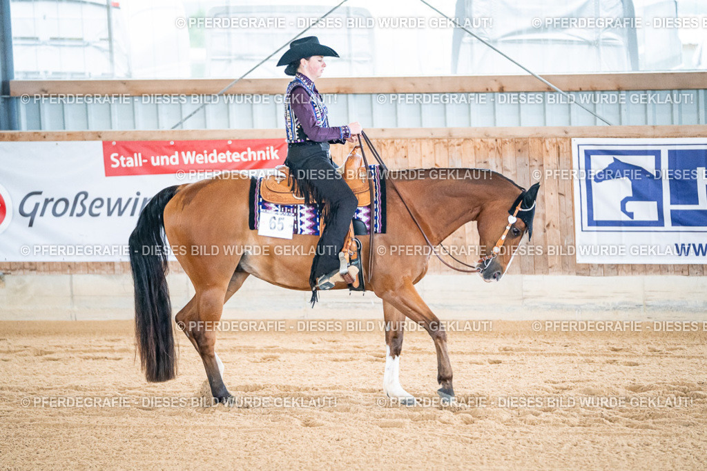 DSC01545 | Pferdegrafie