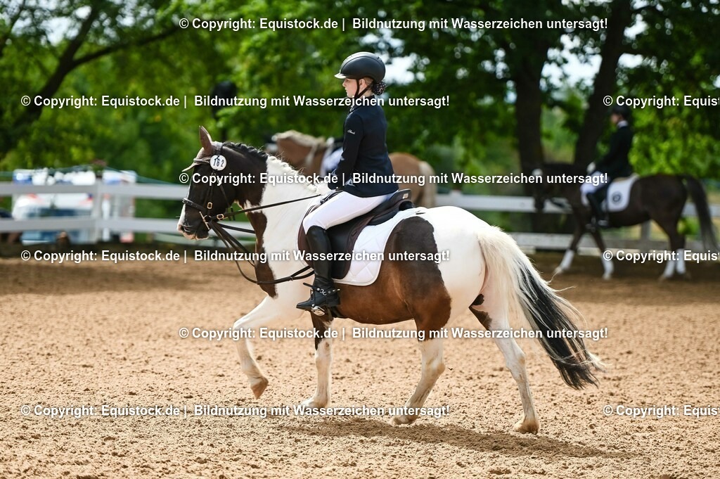 20230716_10-2_Reiter-WB Schritt - Trab - Galopp_0172 | equistock