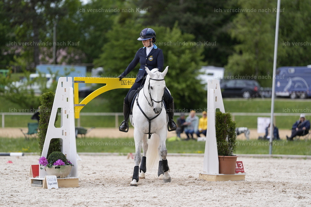 PI26_ST_ST_Stoibphotography_DSC1190.JPG | working equitationturnier fotograf videograf stoibphotography marixx film working equitation deutschland reitsport turnierfotografie eventfotografie equestrian events