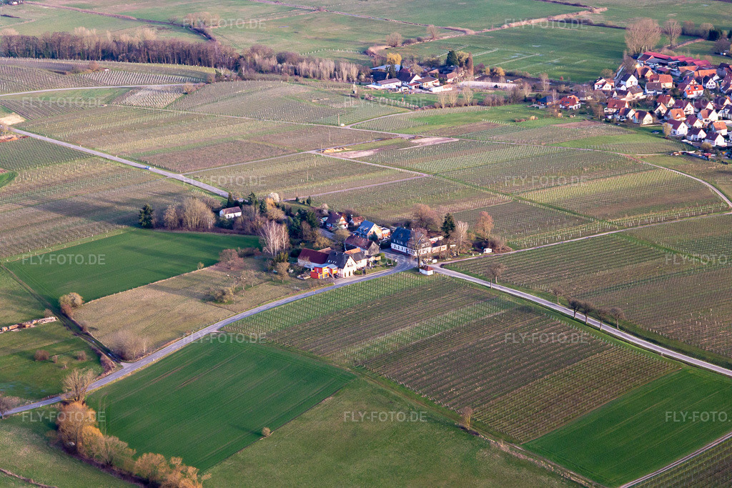 Luftbild: Windhof, grüne Grenze nach Frankreich in Schweighofen im Bundesland Rheinland-Pfalz in Deutschland. Foto: IMG_126153.jpg vom 20.03.2021 durch Werner Riehm/FLY-FOTO.de