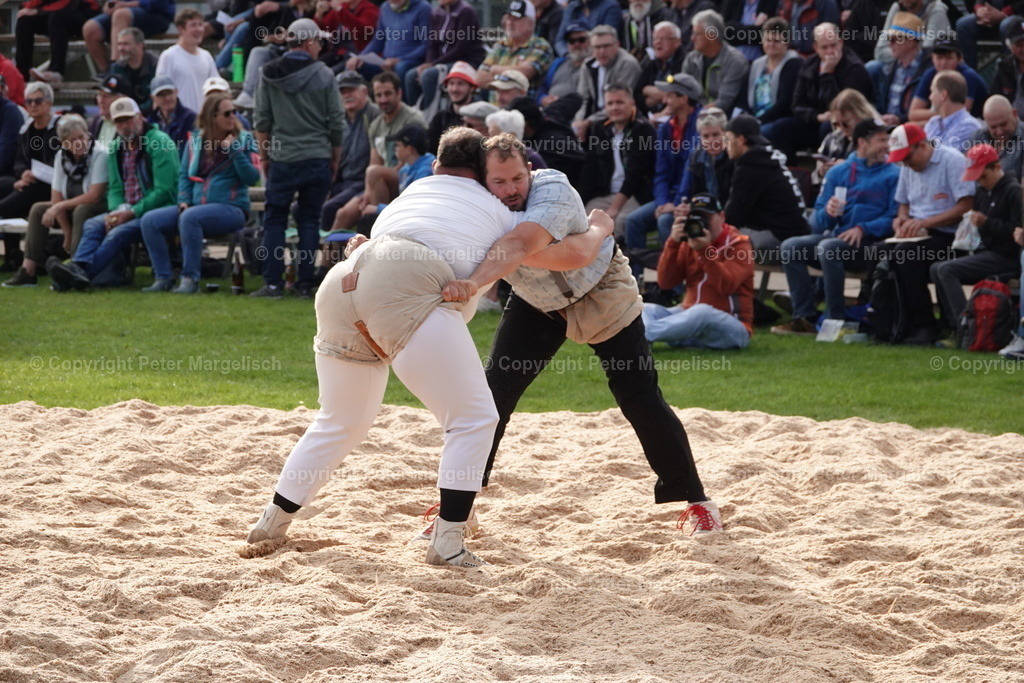 DSC08453 | Schwingen - Realisiert mit Pictrs.com