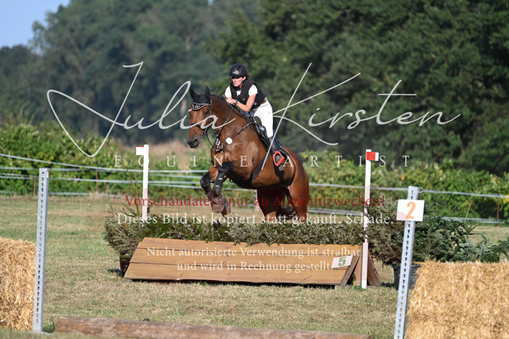 DSC_9037 | Pferde- und Turnierfotografie in Westsachsen. Pferdeportraits, Auftragszeichnungen und intuitive Kunst.