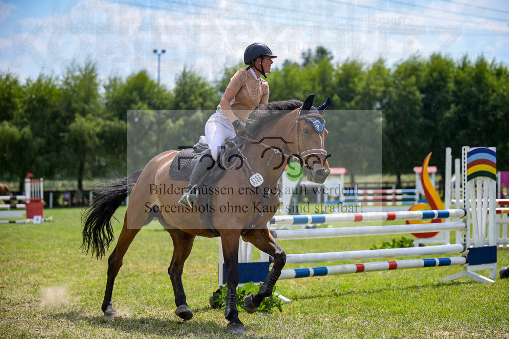 Reitturnier Voxtrup | Entdecke hochwertige Reitturnierfotos von Foto Oger. Professionell, emotional und authentisch – jetzt Lieblingsmomente im Shop bestellen.Deutschlandweite Turnierfotografie. - Realisiert mit Pictrs.com