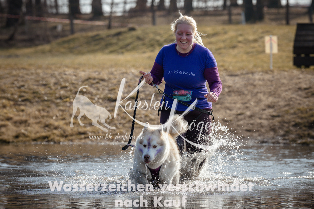 1117_ZZ93663 | kk-dogfotos